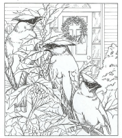 A coloring page of nature in the backyard